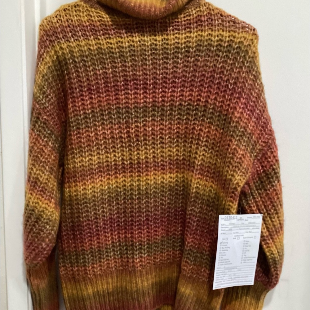 Express Multicolor Turtleneck Sweater